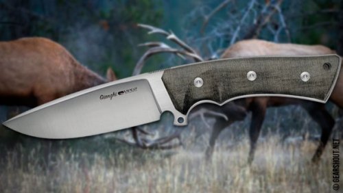 Viper-GIANGHI-Knife-2018-photo-1.thumb.jpg.0c33e5c7be3612f61fc3e20d0d5d6115.jpg