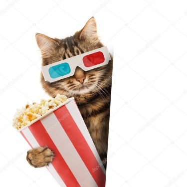 depositphotos_80418398-stock-photo-cat-in-the-3d-glasses.jpg