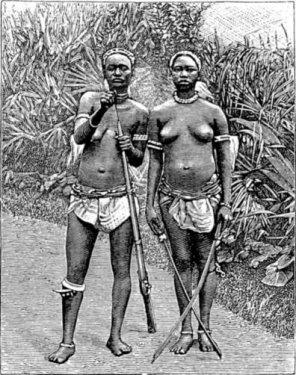 Dahomey-amazoner.thumb.jpg.93d2d4b3c5f2b0bfc671df7b5b60fe57.jpg