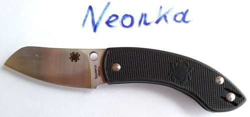 spyderco_pingo.thumb.jpg.480d4b67d992d403ae6e7e322590f72e.jpg