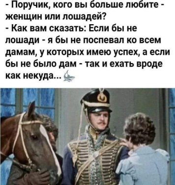 лошади.jpg