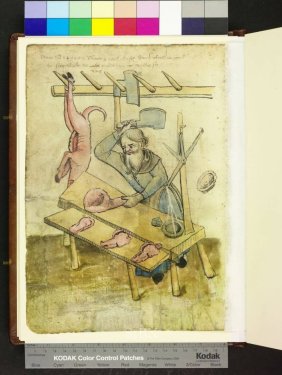 71b_-prodavec-amb_-317_2-folio-113-verso-mendel-i.jpg