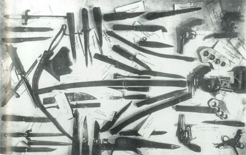 pic33.jpg