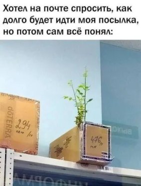 scale_2400(16).thumb.jpg.64f01ebd4f592786eefa5650332e0e11.jpg