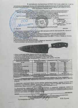 металлист.PNG