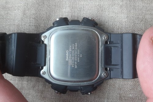 20250717_142651.thumb.jpg.4a6091b6ac047e83a1e80d42f615f530.jpg