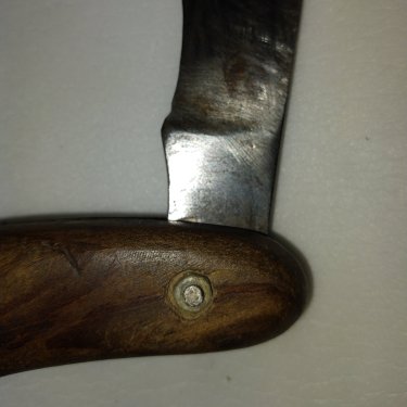 IMG_20250731_054253.thumb.jpg.d8ace997c9fb9bbc7a0b8289b8eb6027.jpg