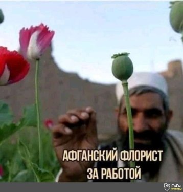 gnQLRnJwyrjh9ooqKMYg7OnUeL7hm3vpgdq67IMFof27KrJ5GAssXGT0pVA5awNhx43g8WjYSpmHXtMkN40YsNpA.jpg