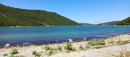 IMG_20250812_120304.jpg