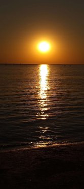 IMG_20250815_192232.jpg