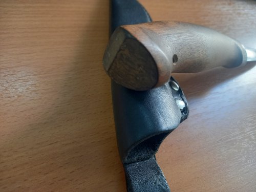 20250911_101237.jpg