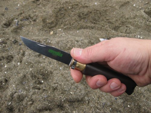 AusoniaLupo8.thumb.jpg.d90d54d496b0e3aa12b8b87391870a47.jpg