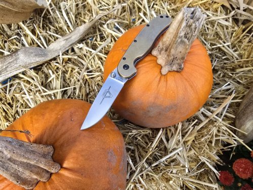 Halloween.thumb.jpg.ab911a682d99fcf709abf70938885ea7.jpg