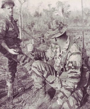 viet_2.thumb.jpg.bbb2b5a12bbd950733d69366ed45c036.jpg