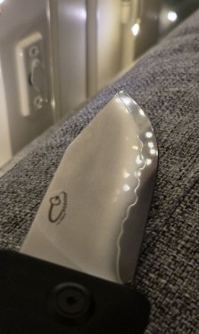 IMAGE 2025-11-01 13:57:41.jpg