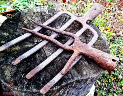 Ж 2025_11_01 вильцы_14+1т.jpg