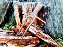 Ж 2025_11_01 вильцы_15т.jpg