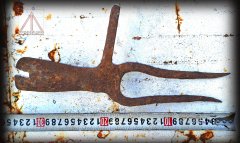 Ж 2025_11_01 вильцы_17+т.jpg