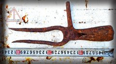 Ж 2025_11_01 вильцы_18т.jpg